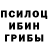 Псилоцибиновые грибы мухоморы Rema Pereira